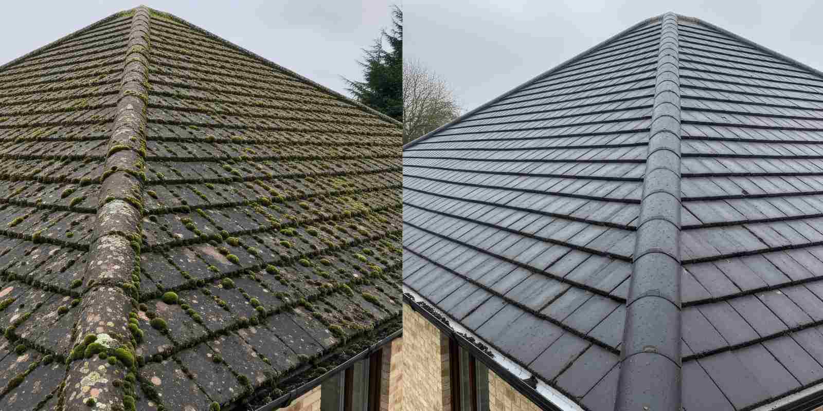 Side-by-side comparison of an old moss-covered roof and a new replacement roof showing the effects of aging and climate on roof lifespan