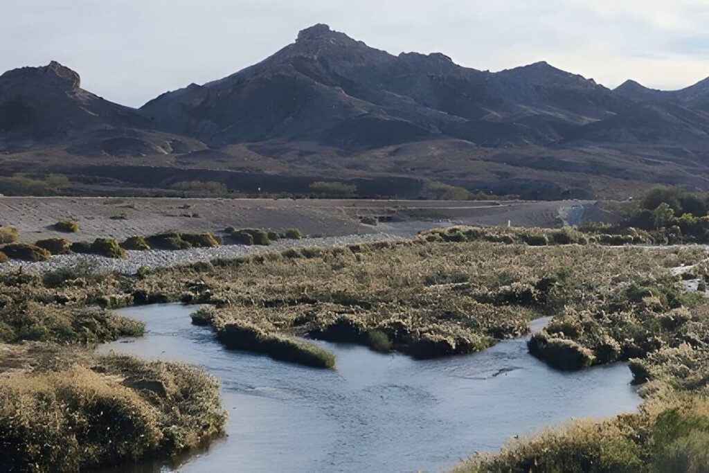 clark county Wetlands Park in Henderson Nevada with mountains in the background